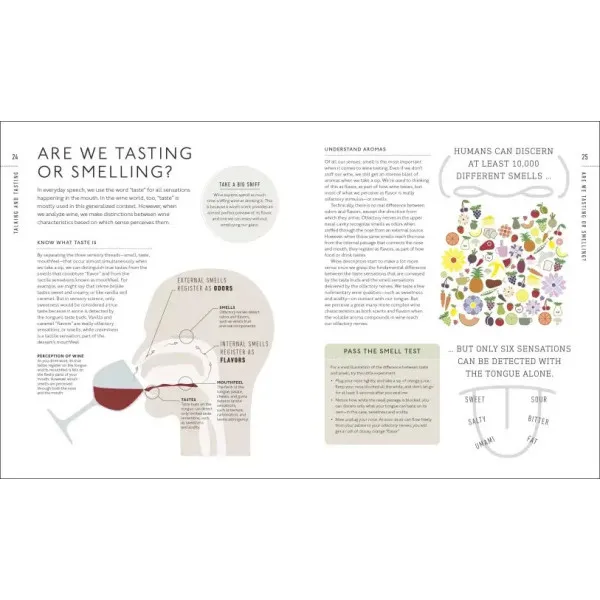 Wine A Tasting Course : From Grape to Glass