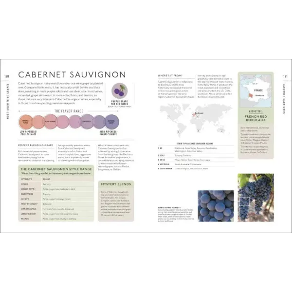 Wine A Tasting Course : From Grape to Glass