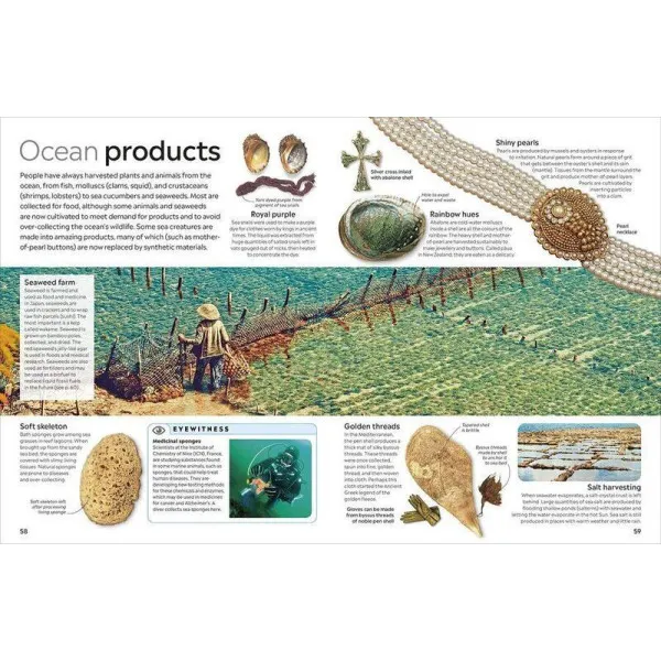 Ocean. The Definitive Visual Guide