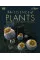 The Science of Plants