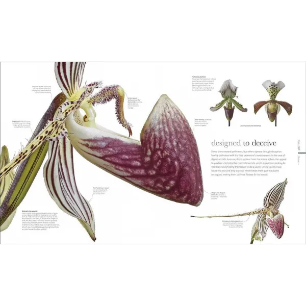 The Science of Plants