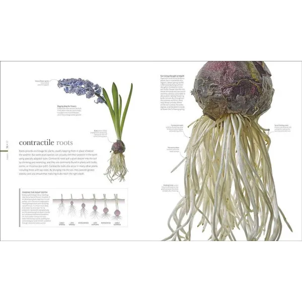The Science of Plants