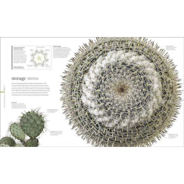 The Science of Plants