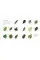 The Science of Plants