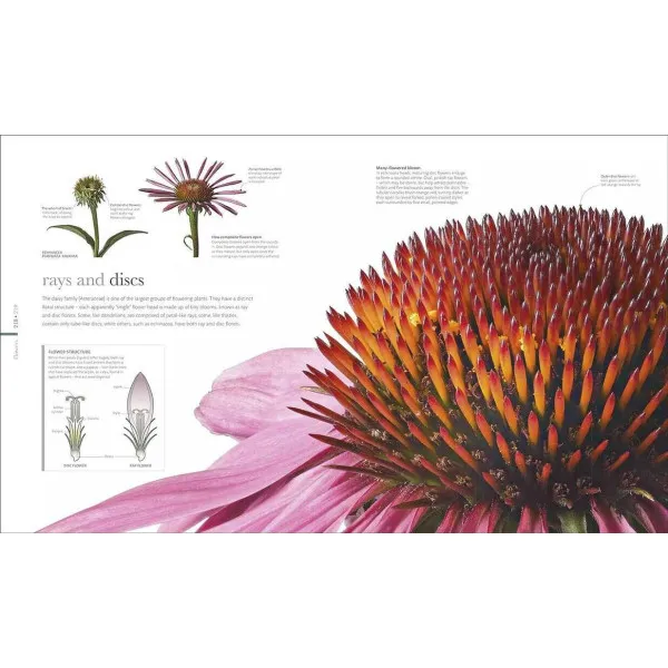 The Science of Plants