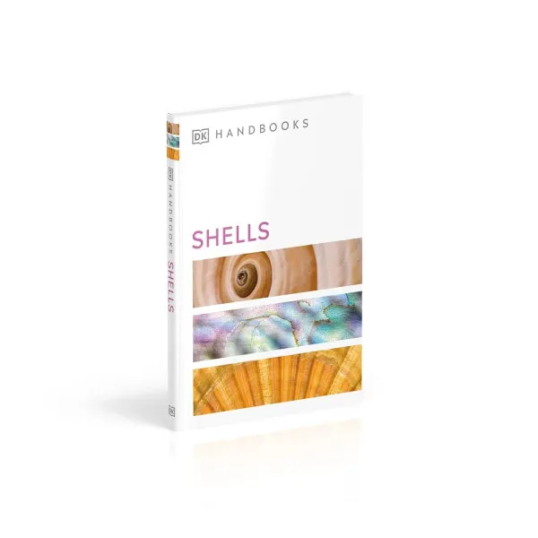 Shells