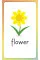 English for Everyone Junior English Alphabet Flash Cards