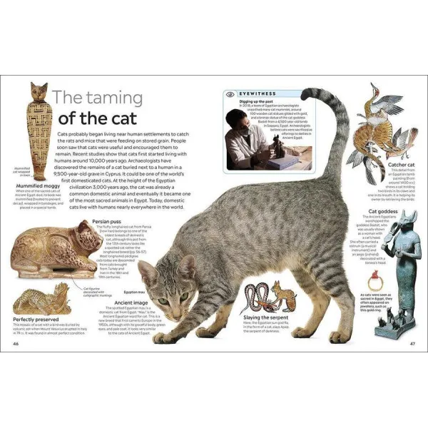 Cat