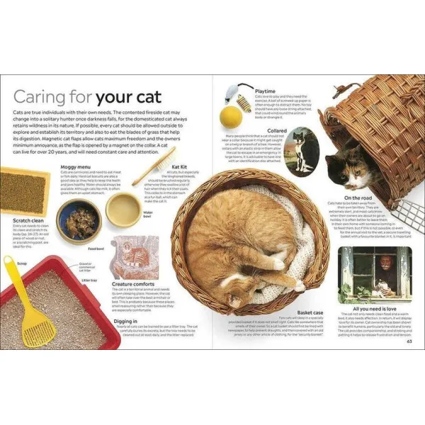 Cat