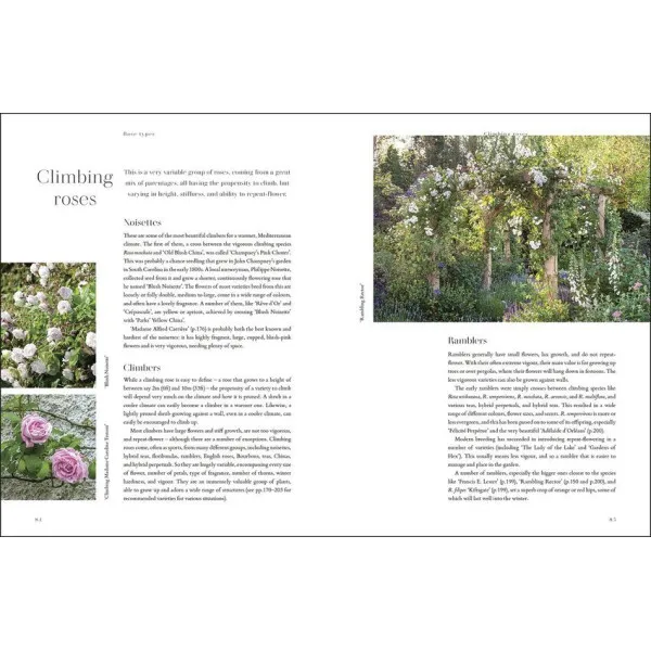 RHS Roses : An Inspirational Guide to Choosing and Growing the Best Roses