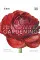 RHS Encyclopedia of Gardening New Edition 