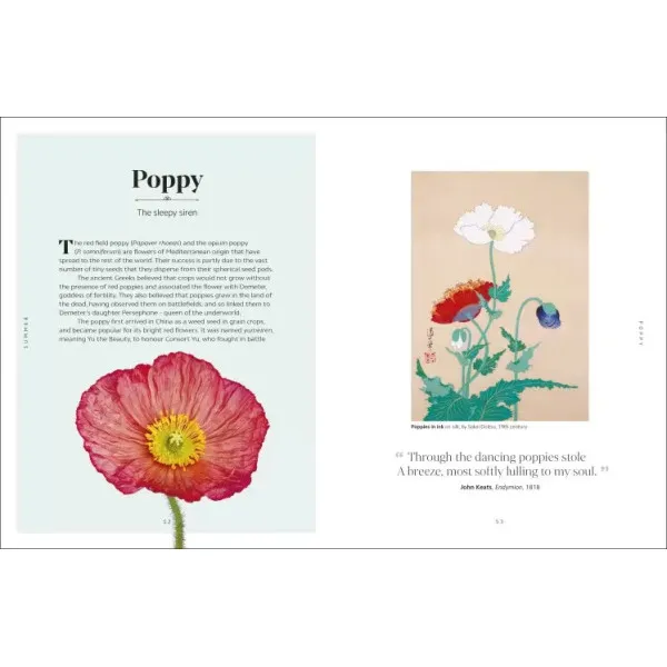 The Secret Language of Flowers 