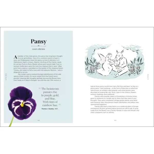 The Secret Language of Flowers 