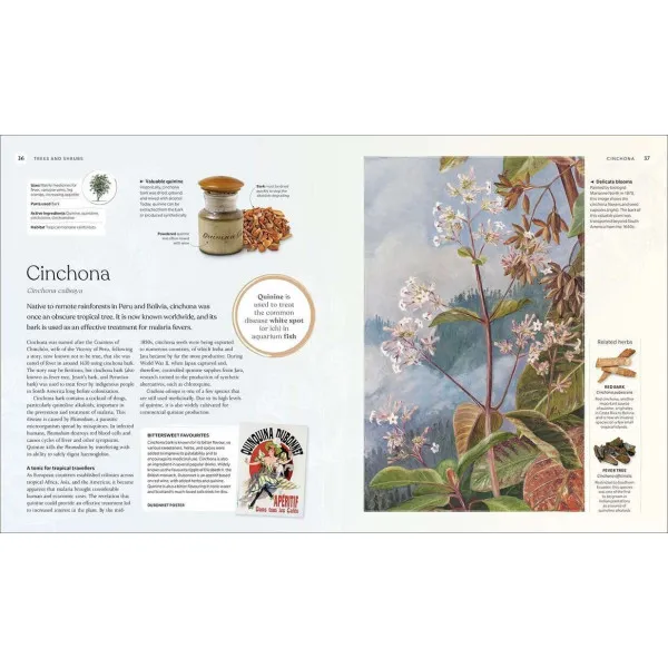 The Herb Book. The Stories, Science, and History of Herbs