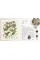 The Herb Book. The Stories, Science, and History of Herbs