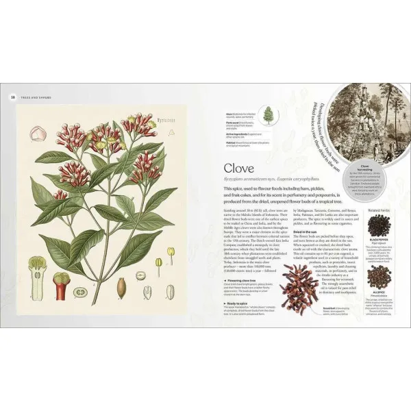 The Herb Book. The Stories, Science, and History of Herbs