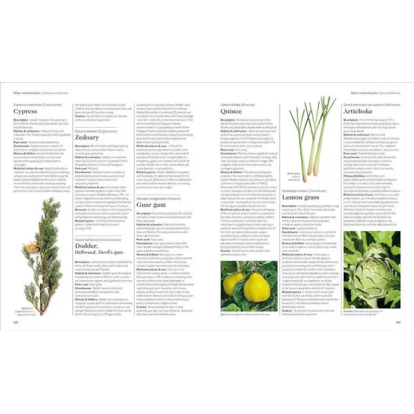 Encyclopedia of Herbal Medicine New Edition