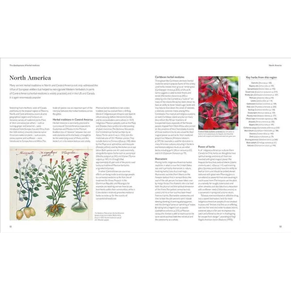 Encyclopedia of Herbal Medicine New Edition