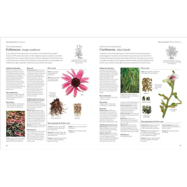 Encyclopedia of Herbal Medicine New Edition