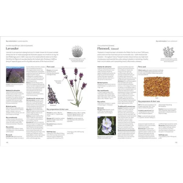 Encyclopedia of Herbal Medicine New Edition