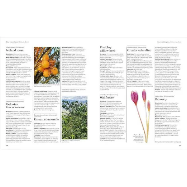 Encyclopedia of Herbal Medicine New Edition