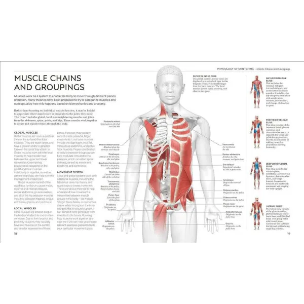 Science of Stretch