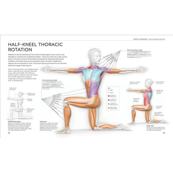 Science of Stretch