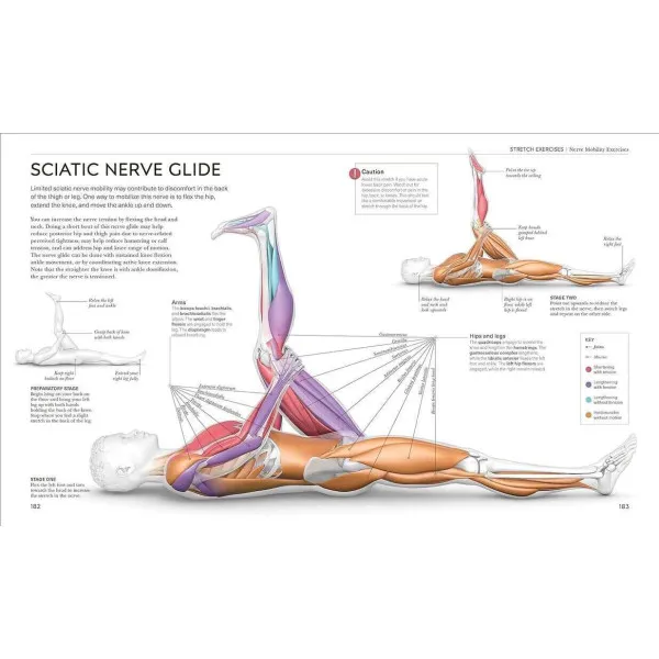 Science of Stretch