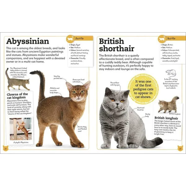 My Book Of Cats And Kittens