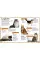 My Book Of Cats And Kittens