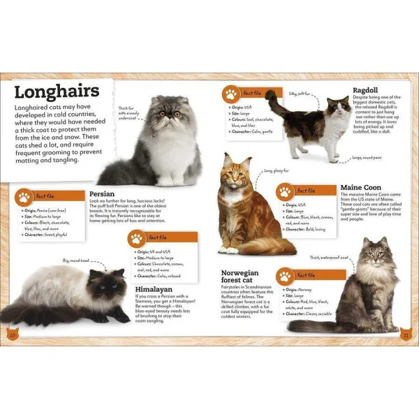 My Book Of Cats And Kittens