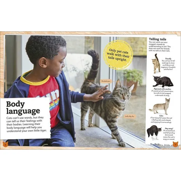 My Book Of Cats And Kittens