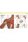 The Complete Human Body