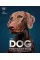 The Dog Encyclopedia. The Definitive Visual Guide
