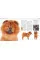 The Dog Encyclopedia. The Definitive Visual Guide