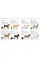 The Dog Encyclopedia. The Definitive Visual Guide