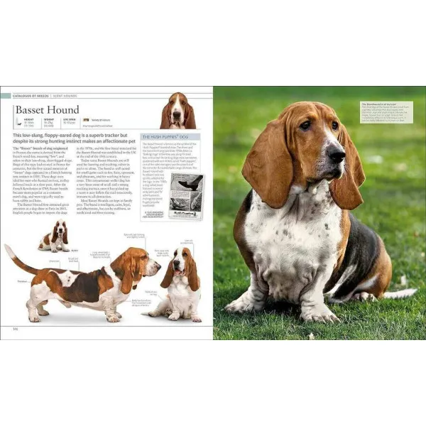 The Dog Encyclopedia. The Definitive Visual Guide