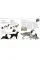 The Dog Encyclopedia. The Definitive Visual Guide