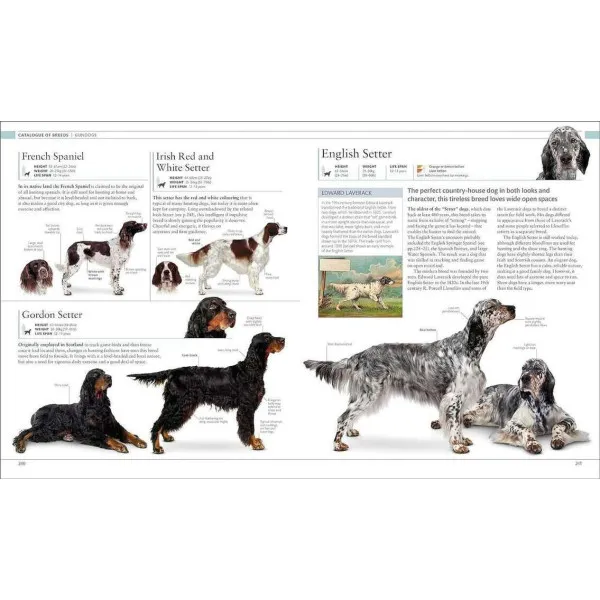 The Dog Encyclopedia. The Definitive Visual Guide