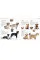 The Dog Encyclopedia. The Definitive Visual Guide