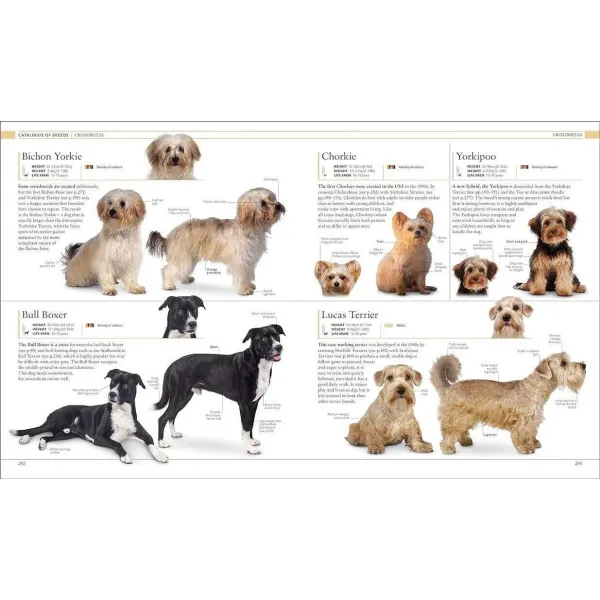 The Dog Encyclopedia. The Definitive Visual Guide