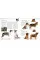 The Dog Encyclopedia. The Definitive Visual Guide