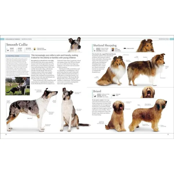 The Dog Encyclopedia. The Definitive Visual Guide