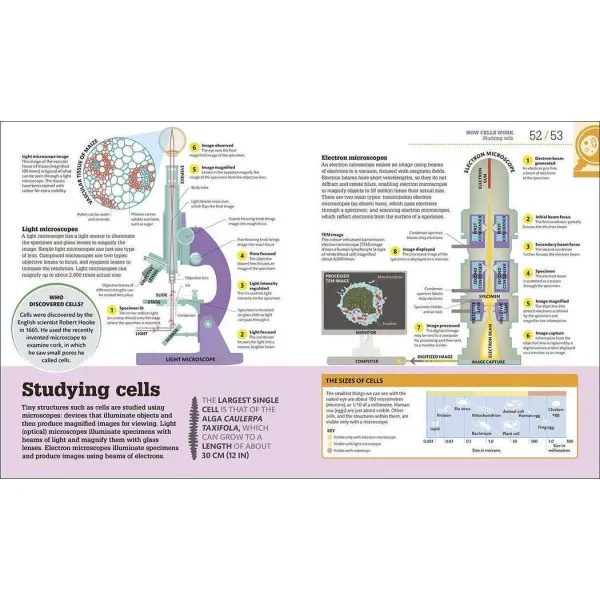 How Biology Works