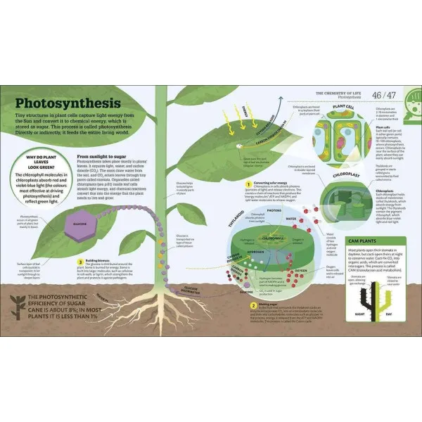 How Biology Works