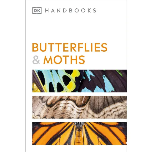 Butterflies and Moths (DK Handbooks)