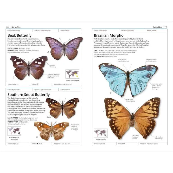 Butterflies and Moths (DK Handbooks)