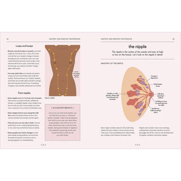 Breasts. An Owner's Guide