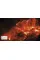 Astronomy : A Visual Guide 