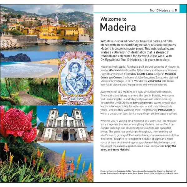 Top 10 Madeira